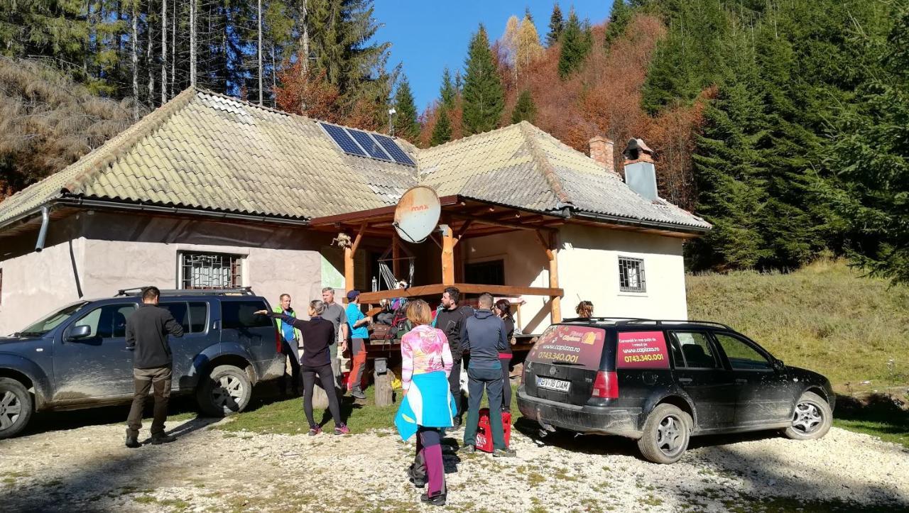 Cabana Pietricica Dîmbovicioara Exterior foto
