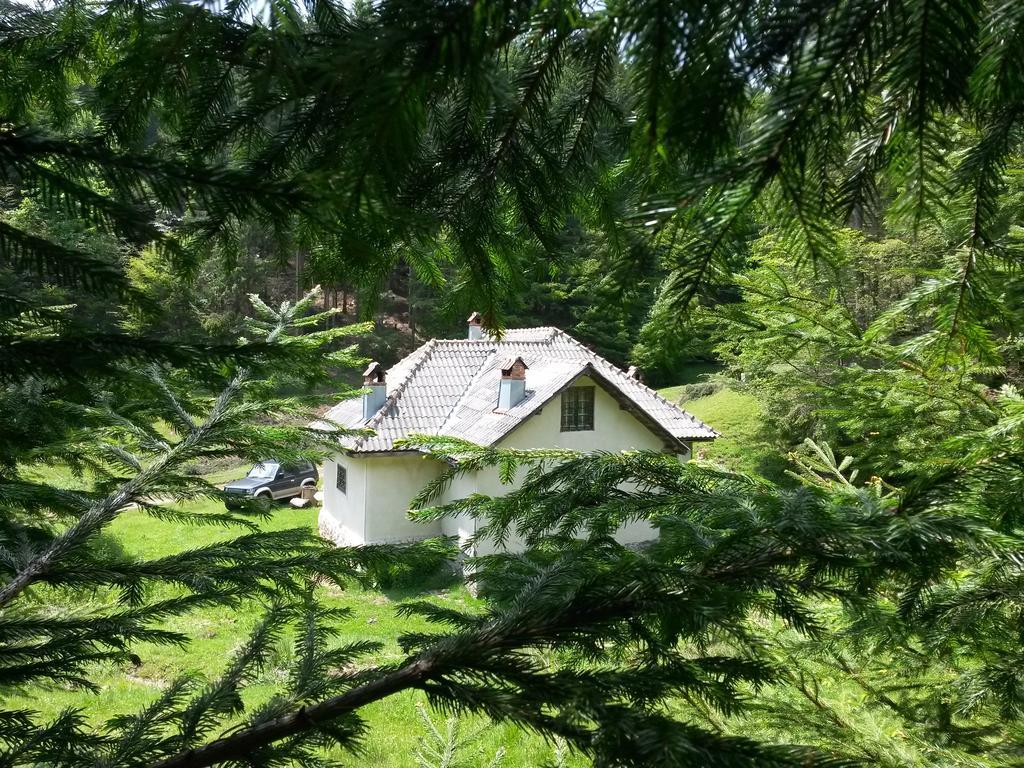 Cabana Pietricica Dîmbovicioara Exterior foto