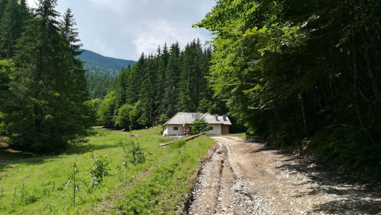 Cabana Pietricica Dîmbovicioara Exterior foto