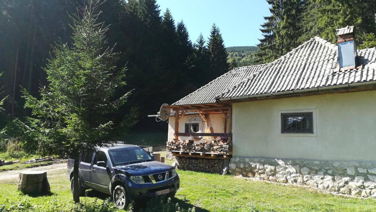 Cabana Pietricica Dîmbovicioara Exterior foto